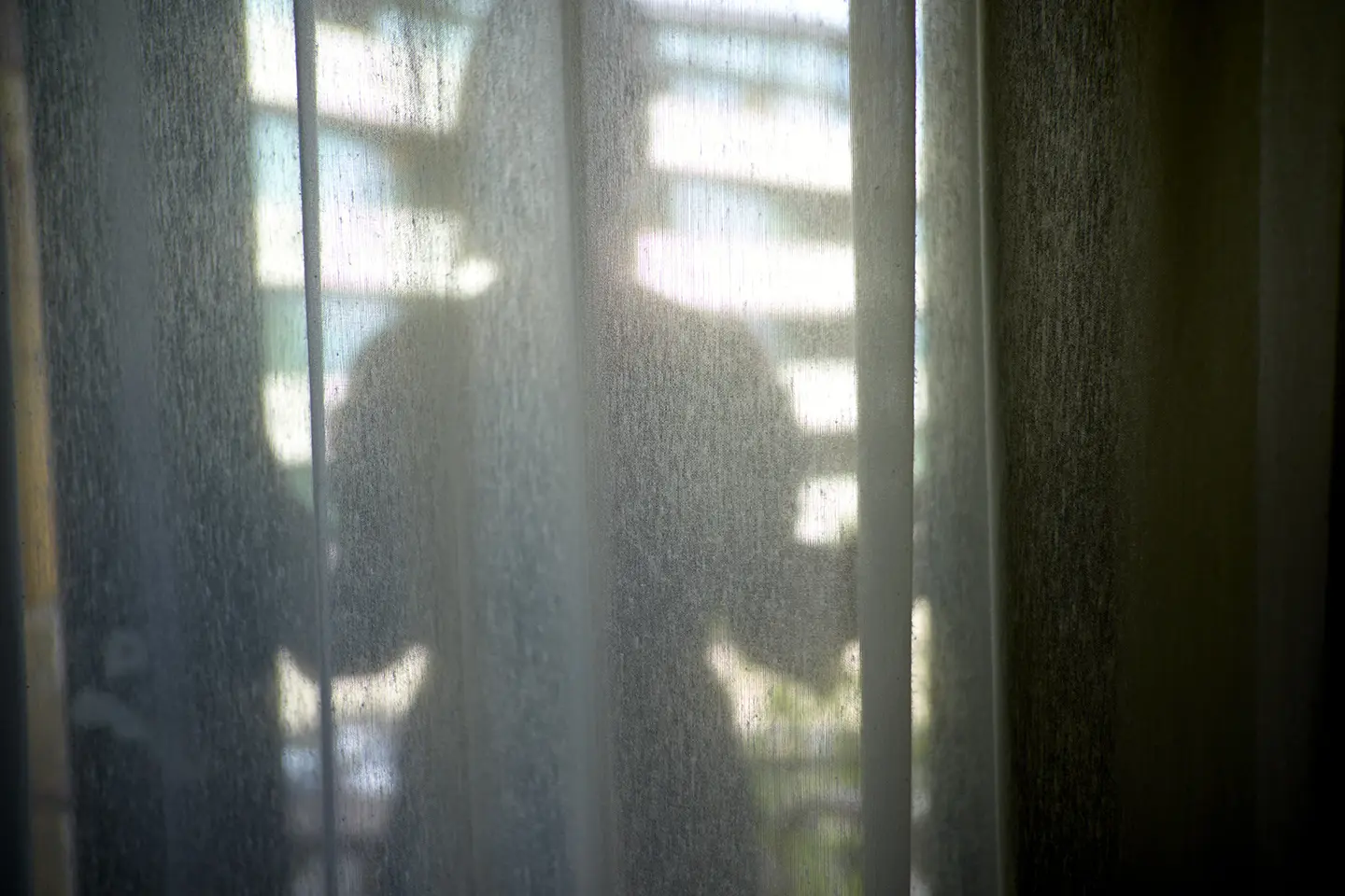 yvonne reichmuth's shadow play captured by stefan armbruster